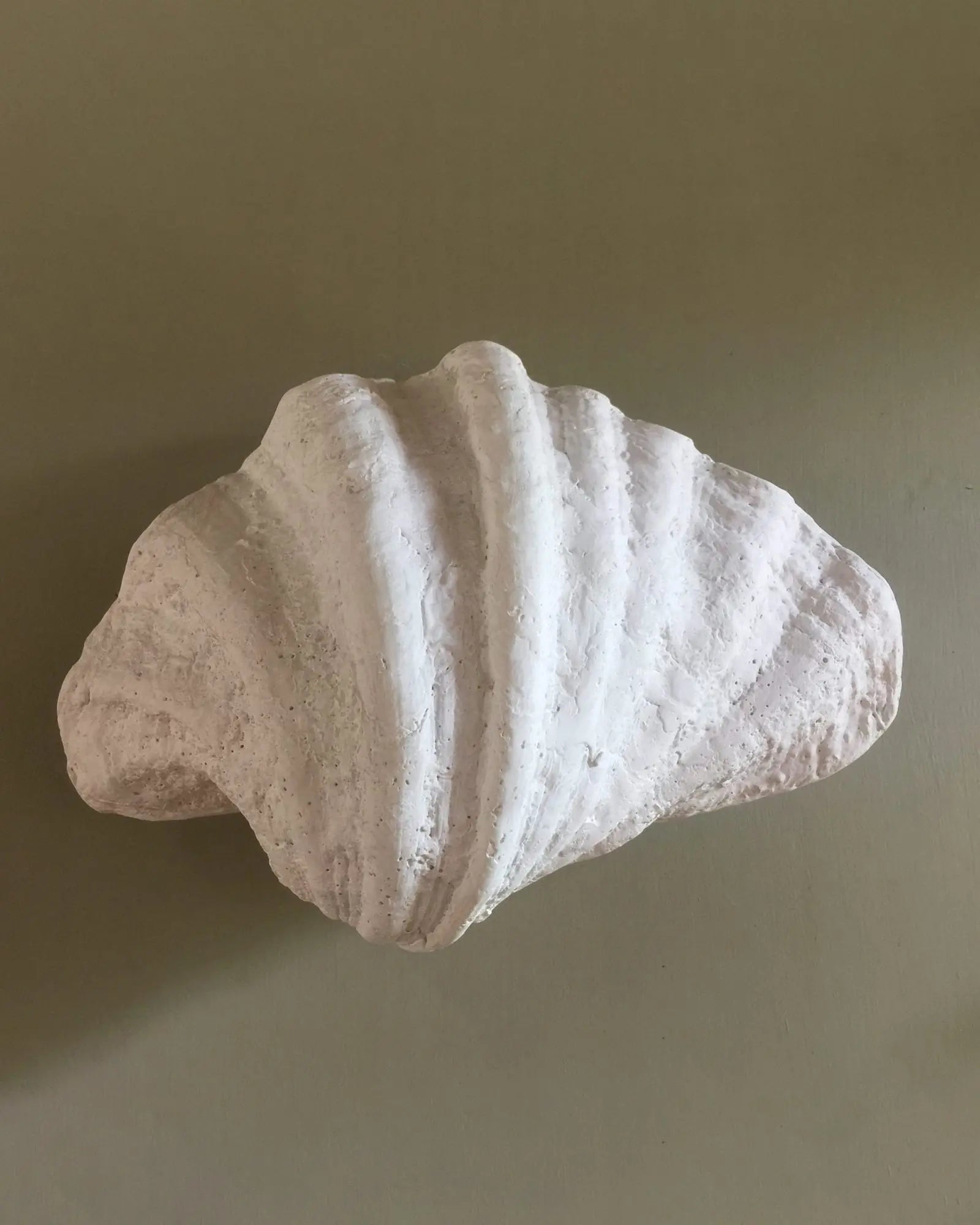 Fluted Shell Wall Light Nook Collections