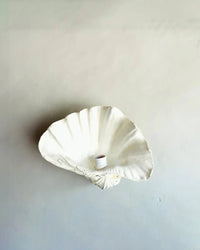 Fluted Shell Wall Light