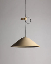 Loop Pendant Light