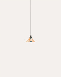 Parrot Petite Pendant Light