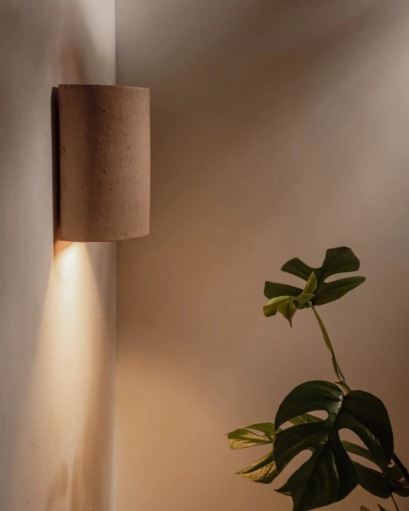 Nudie handmade ceramic wall light above a plant