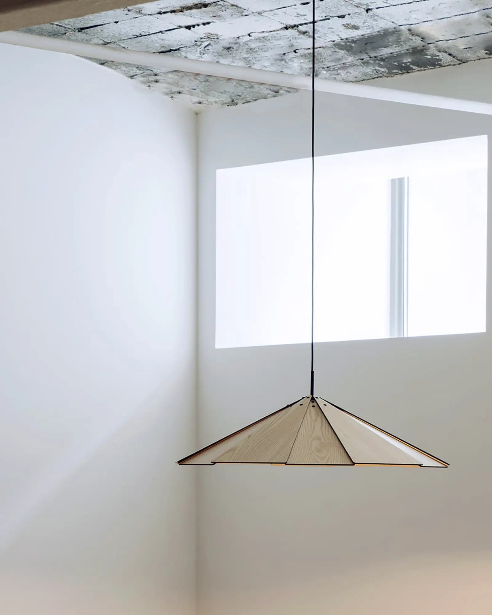 Sepal Pendant Light