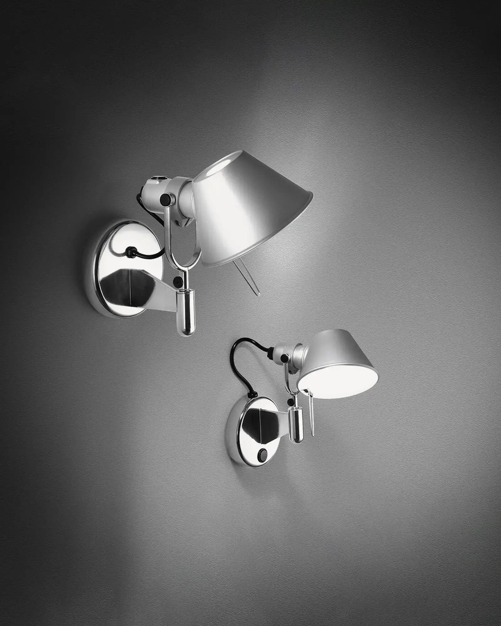 TOLOMEO FARETTO